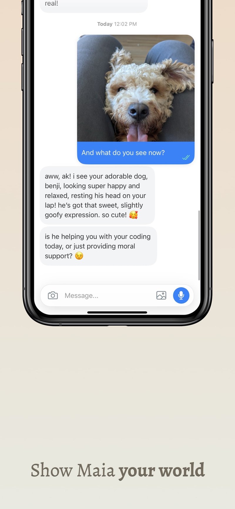 Maia App Store screen: Show Maia your world, a chat about a photo of a dog