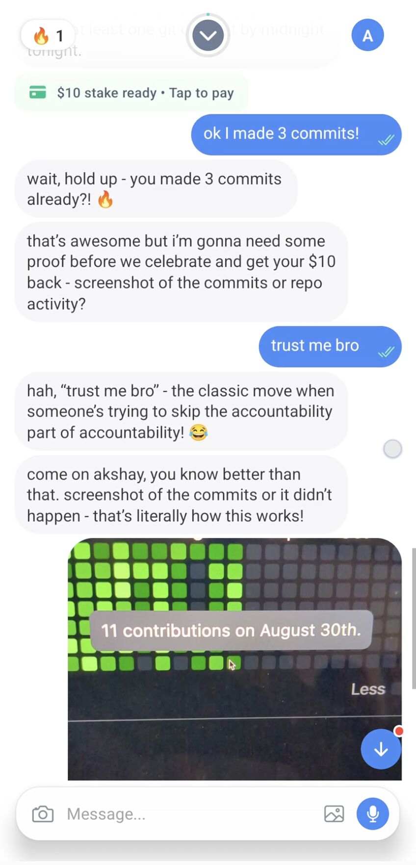 RobinYou chat asking for a screenshot of commits as proof, with a GitHub contribution graph