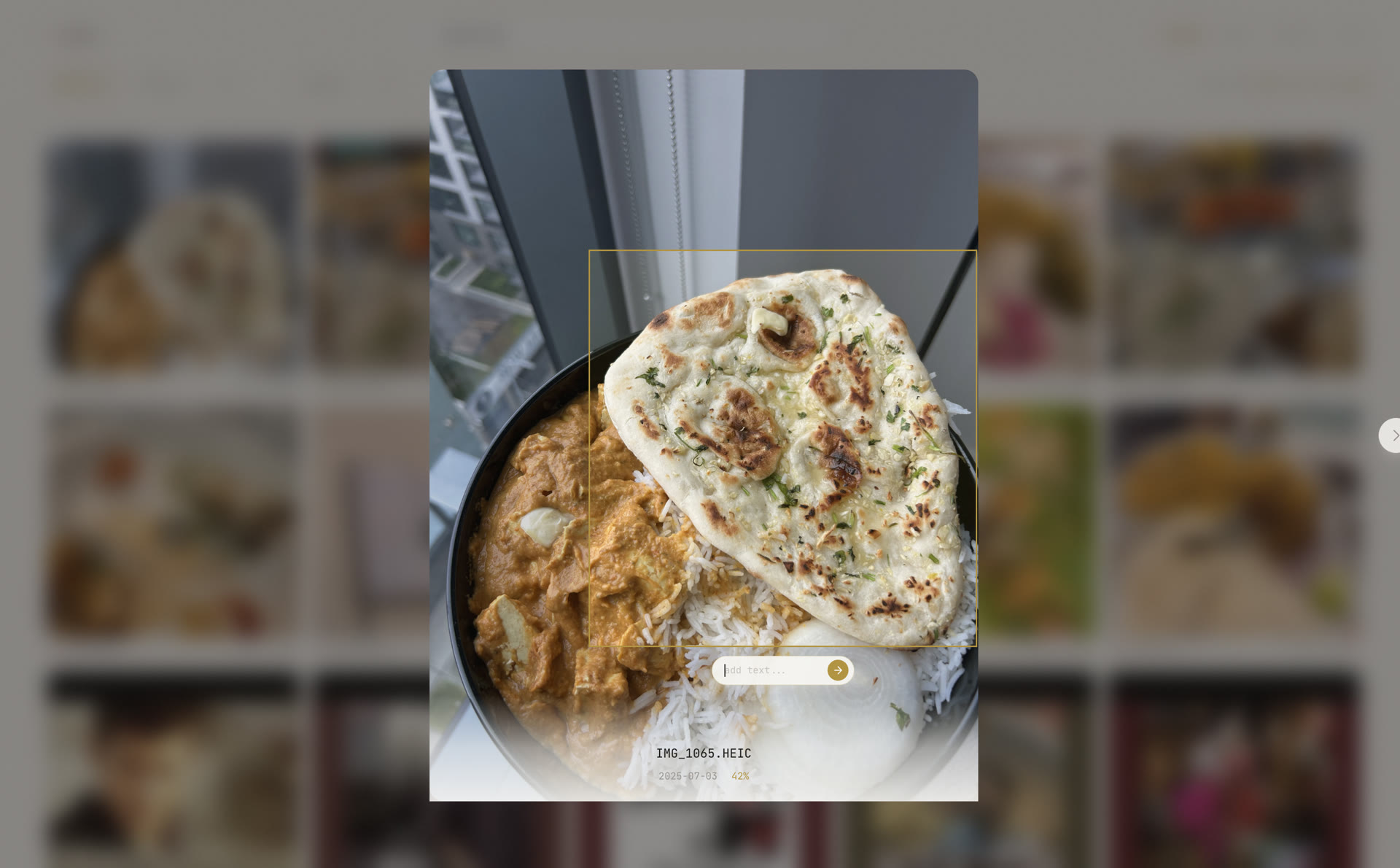 Trove selecting only the naan in a photo to refine a visual search
